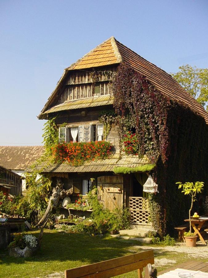Maison d'hôtes Rural Tourism Family Ravlic à Muzilovcica Extérieur photo