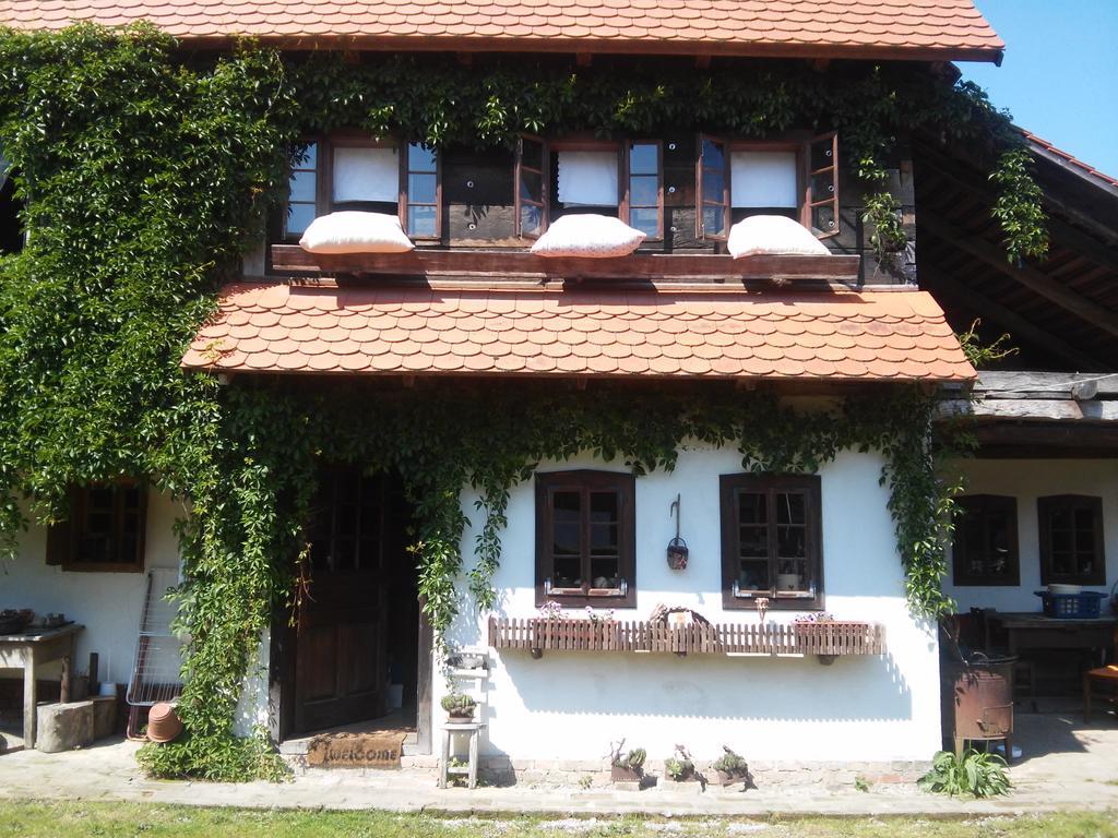 Maison d'hôtes Rural Tourism Family Ravlic à Muzilovcica Extérieur photo